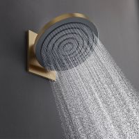 Hansgrohe Pulsify S Kopfbrause 260 1jet, brushed bronze