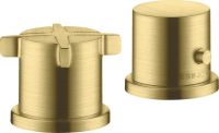 brushed brass