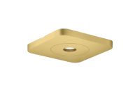 brushed brass