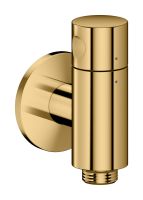 polished gold-optic
