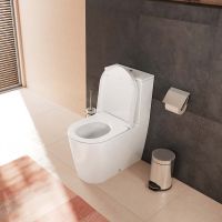 Vorschau: hansgrohe EluPura S Stand-WC für Spülkasten mit AquaFall Flush weiß 60260450