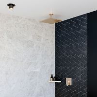 Vorschau: hansgrohe Raindance E Duschkopf 300 1jet mit Deckenanschluss, EcoSmart, brushed bronze
