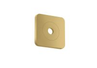 brushed brass