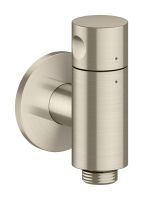 brushed nickel