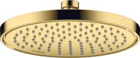 Vorschau: Axor ShowerSolutions Kopfbrause 220 1jet EcoSmart polished gold optic 35383990