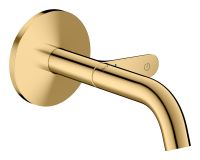 polished gold-optic