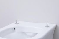 Vorschau: Duravit White Tulip WC-Sitz mit Absenkautomatik, weiß 0027090000