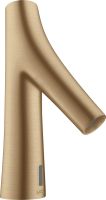 brushed bronze