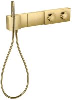 polished gold-optic