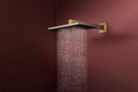 Vorschau: hansgrohe Raindance Alive Q Duschkopf 210/340 2 Strahlarten mit Brausearm, brushed bronze
