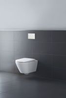 Vorschau: Duravit DuraSystem Betätigungsplatte aus Kunststoff mechanisch für WC A1