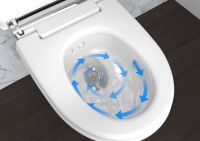 Vorschau: Geberit AquaClean Mera Classic Wand-Dusch-WC, weiß/chrom