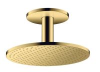 polished gold-optic