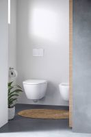 Vorschau: Duravit D-Neo Wand-WC 54x37cm, Tiefspüler, rimless, weiß