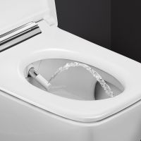 Vorschau: Geberit AquaClean Sela Square Wand-Dusch-WC