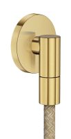 brushed brass