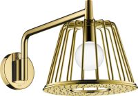 polished gold-optic