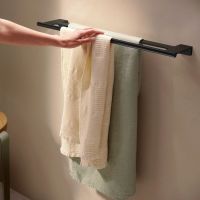 Hansgrohe AddStoris S Handtuchhalter, schwarz matt 41763670