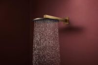 Vorschau: hansgrohe Raindance Alive S Duschkopf 300 2 Strahlarten brushed bronze 24540140