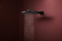 Vorschau: hansgrohe Raindance Alive S Duschkopf 300 1 Strahlart wassersparend, schwarz matt