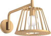 brushed brass