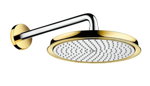 Hansgrohe Raindance Classic 240 Air 1jet Kopfbrause mit Brausearm 39cm, chrom/gold