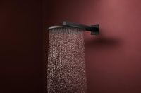 Vorschau: hansgrohe Raindance Alive S Duschkopf 300 1 Strahlart, schwarz matt
