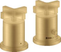 brushed gold-optic