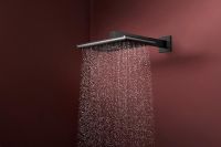 Vorschau: hansgrohe Raindance Alive Q Duschkopf 210/340 2 Strahlarten mit Brausearm, brushed black chrome
