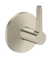 brushed nickel