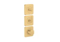 brushed gold-optic
