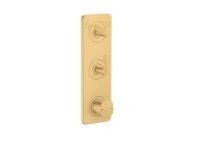 brushed gold-optic