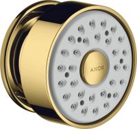polished gold-optic