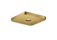 polished gold-optic