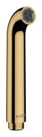 polished gold optic