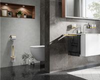 Vorschau: emco loft Toilettenbürstengarnitur Kristallglas satiniert, gold poliert 