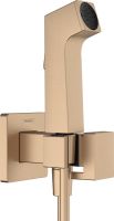 hansgrohe Bidetbrause E brushed bronze 29233140