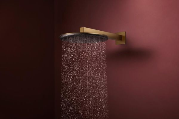 hansgrohe Raindance Alive S Duschkopf 300 1 Strahlart wassersparend brushed bronze 24521140