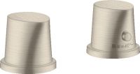 brushed nickel