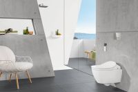 Vorschau: Villeroy&Boch ViConnect 300S WC-Betätigungsplatte, 2-Mengen-Spülung, chrom 92218061