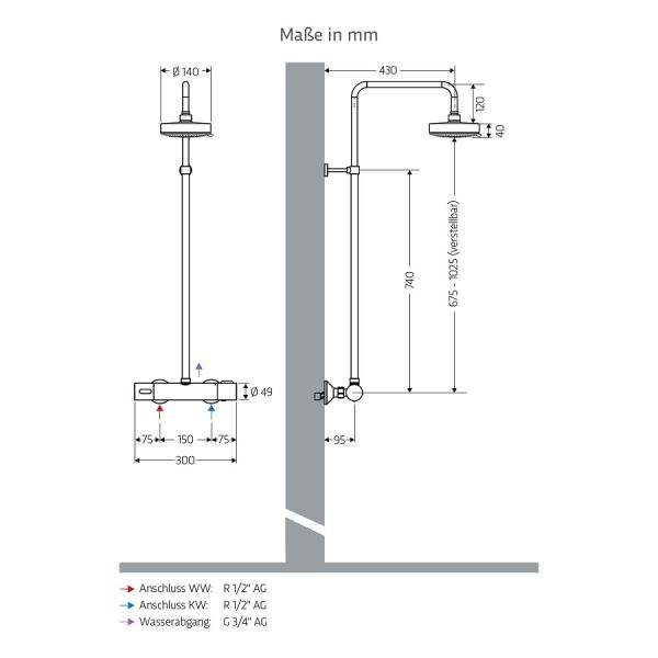 WimTec ECOSAN Kopfbrause-Set, chrom