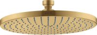brushed gold-optic