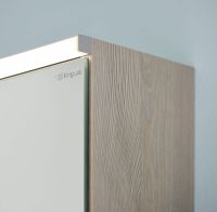 Vorschau: Burgbad Eqio Spiegelschrank mit horizontaler LED-Beleuchtung und 2 Spiegeltüren, 100x80cm, eiche dekor flanelle SPGS100F2632 3