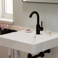 hansgrohe Zesis S Waschtischarmatur 210 Schwenkauslauf schwarz matt 74741670