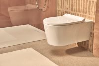hansgrohe EluPura S WC mit WC-Sitz 540 AquaHelix Flush