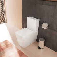 hansgrohe EluPura Q Stand-WC AquaFall Flush