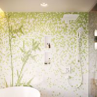 Vorschau: hansgrohe Raindance E Duschkopf 300 1jet mit Brausearm, EcoSmart, weiß matt