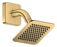 polished gold-optic