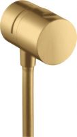 brushed gold-optic