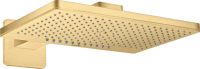 brushed gold-optic